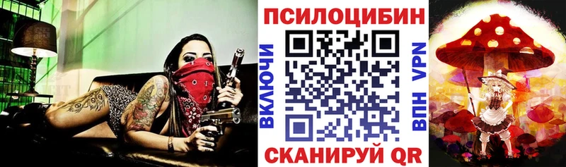 МЕГА зеркало  Томск  Галлюциногенные грибы Cubensis 